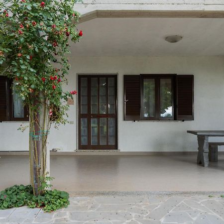 Apartment Rosa Bacara By Interhome Bolsena Exterior foto